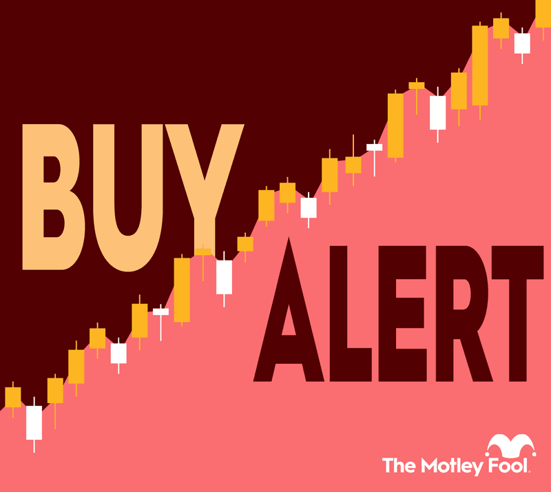 Why One Brazil Fund Opened an $11 Million Position in MercadoLibre Despite a Steep One-Year Stock Drop