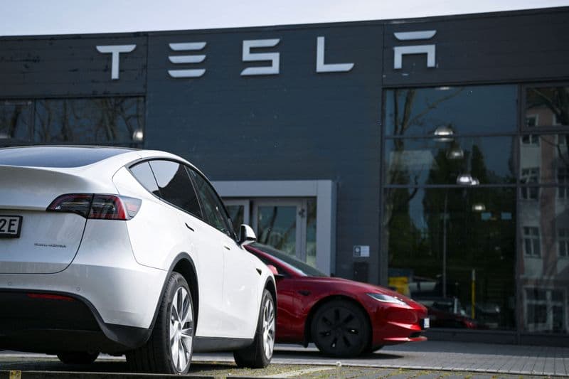 Tesla expects Dutch decision on self-driving technology by April 10